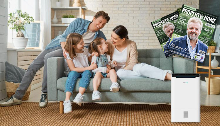 Dehumidifiers Explained – A Must Have for a Healthy Home