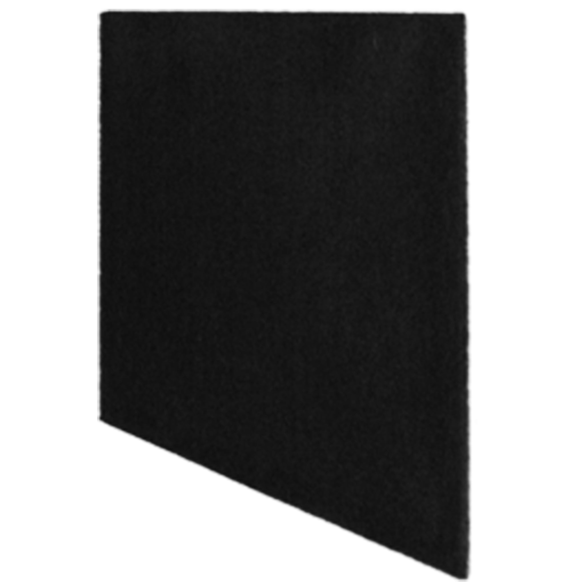 Filter - Carbon Pack of 2 Pure155 - FPE-100004