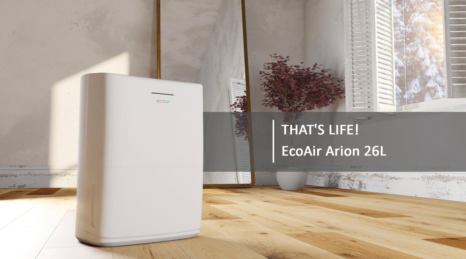 That's Life! - November 2017 Issue