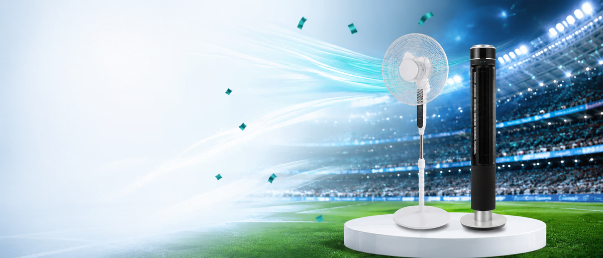 World Cup Fan Sale 2026